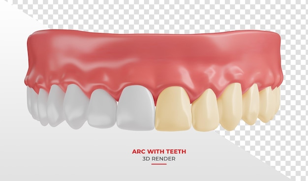 Gomma con denti bianchi e gialli in rendering 3D con sfondo trasparente
