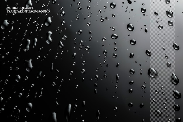 Gotas de agua en vidrio fondo gris oscuro arte vectorial en fondo transparente