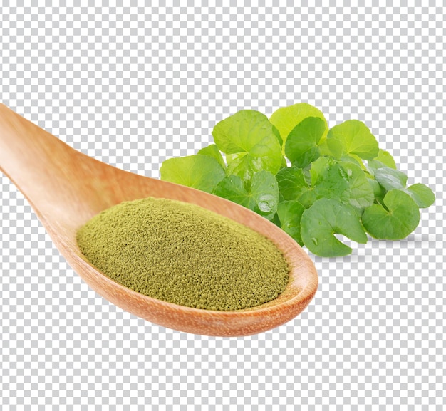 PSD gotu kola, pennywort asiática, centella asiatica, fitoterapia ayurveda em colher de madeira premium psd.