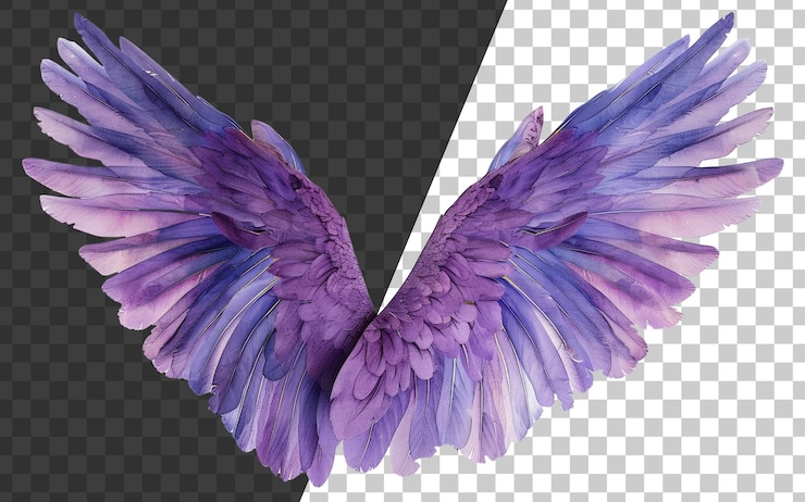 PSD graciosas alas de plumas violetas extendidas en vuelo sobre un fondo transparente