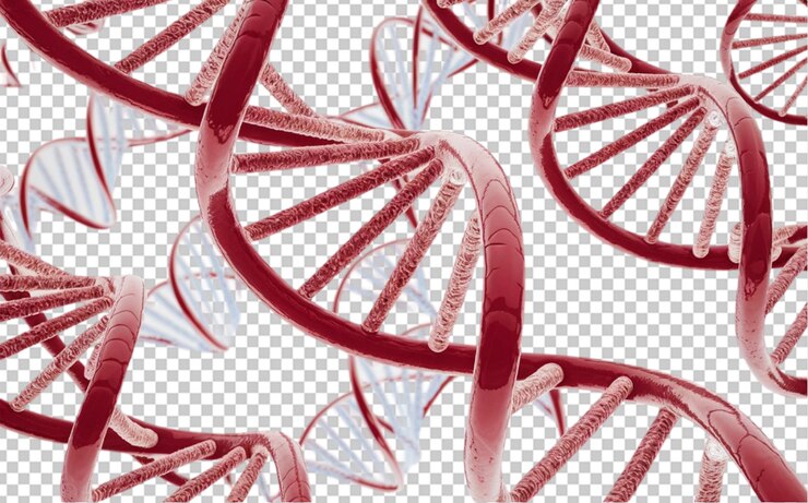 PSD un gráfico de un microscopio con un patrón rojo de adn