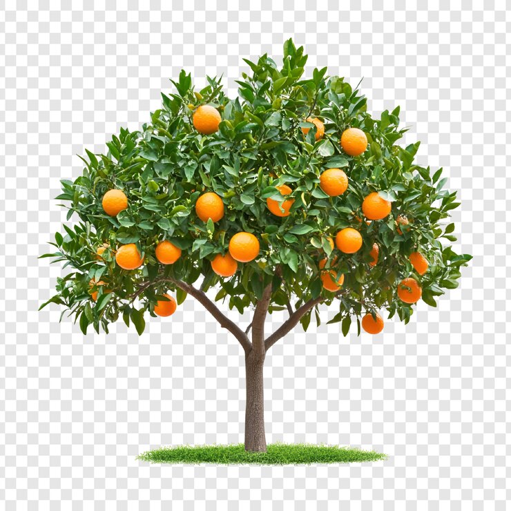 PSD gráficos de design de ilustração de laranja vibrante