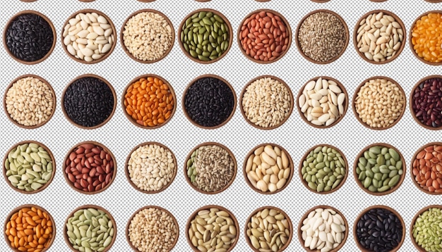 Des graines qui se transforment en plantes vives et saines