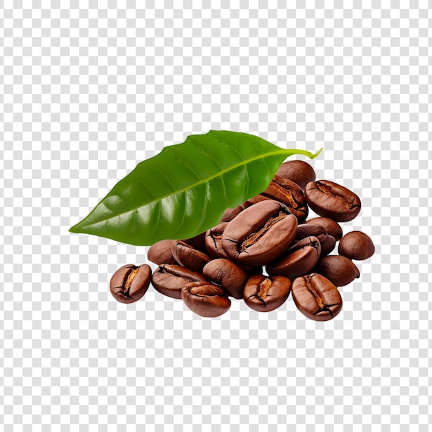PSD grains de café avec des feuilles vertes isolées sur un fond blanc