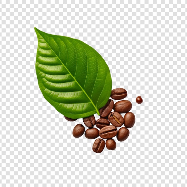 PSD grains de café avec des feuilles vertes isolées sur un fond blanc