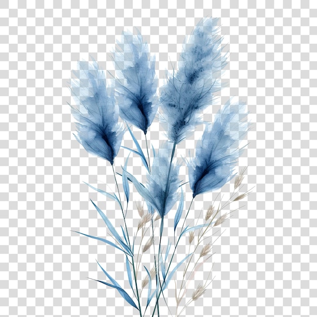 PSD grama azul das pampas isolada em fundo transparente png