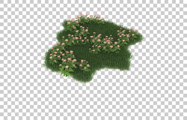 Grama e flores em fundo transparente. renderização em 3d - ilustração