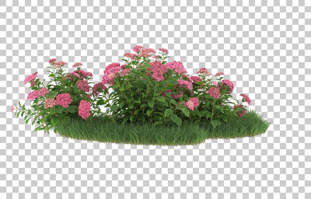 Grama e flores em fundo transparente. renderização em 3d - ilustração