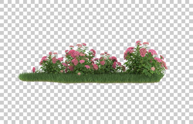 Grama e flores em fundo transparente. renderização em 3d - ilustração