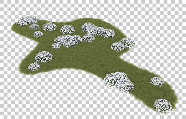 Grama em fundo transparente. renderização em 3D - ilustração