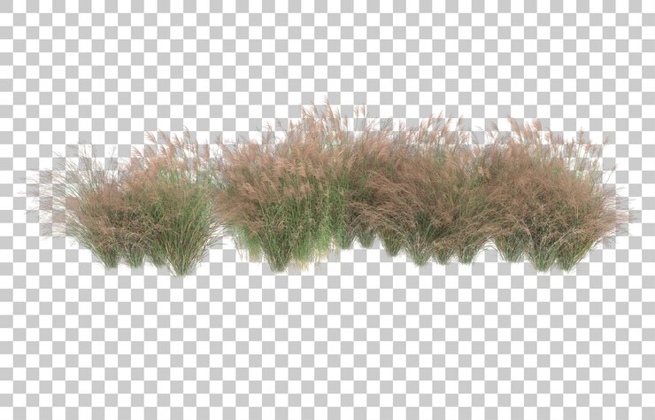 PSD grama em fundo transparente. renderização em 3d - ilustração