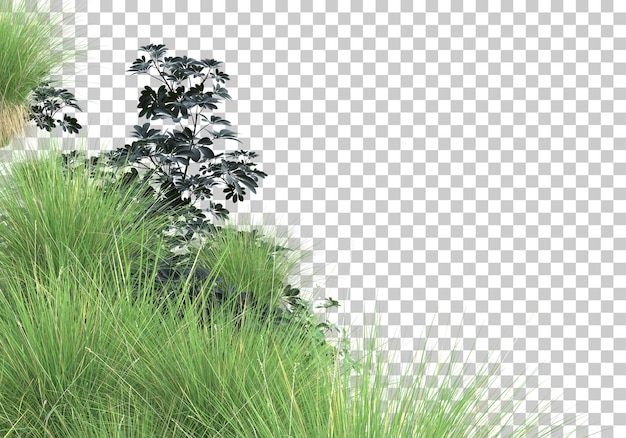 Gramado verde na ilustração de renderização 3d de fundo transparente