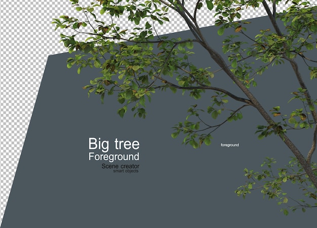 Un gran árbol en primer plano con muchos tipos y formas diferentes.