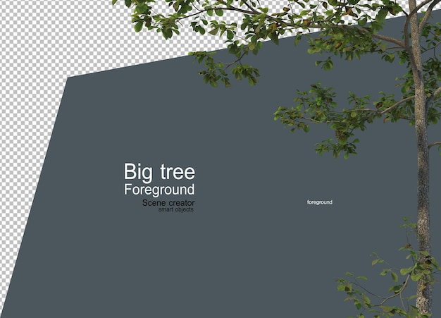 Un gran árbol en primer plano con muchos tipos y formas diferentes.