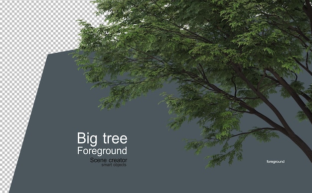 Un gran árbol en primer plano con muchos tipos y formas diferentes.