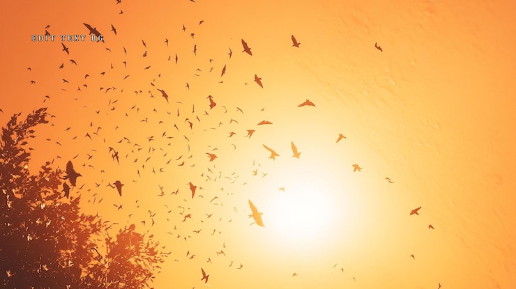PSD una gran bandada de pájaros en silueta contra un vibrante cielo naranja al atardecer