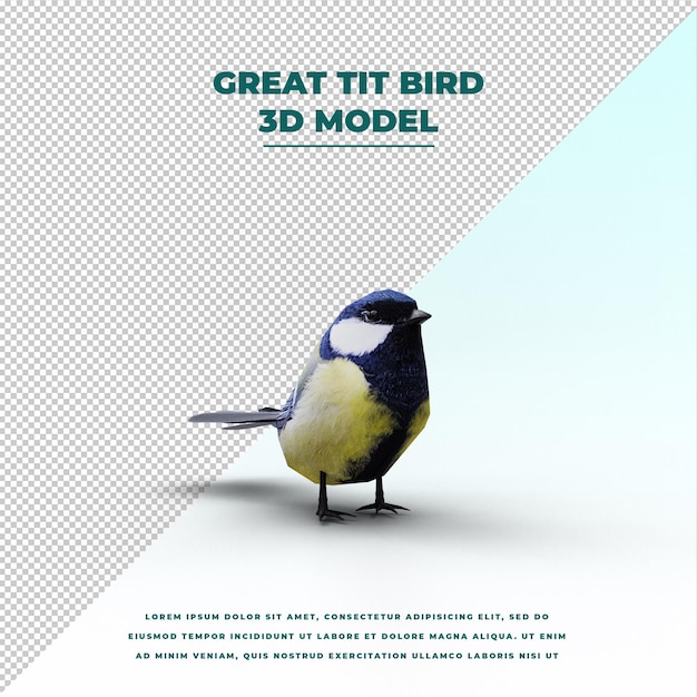 gran pájaro tit