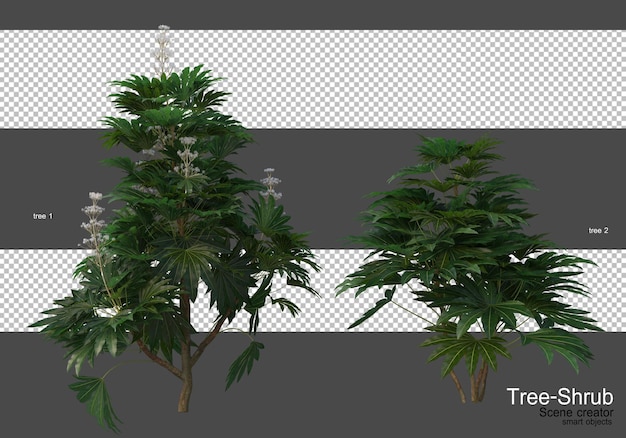 Una gran variedad de árboles y arbustos