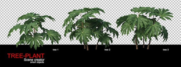 Una gran variedad de árboles y arbustos