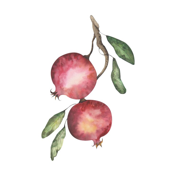 PSD granatapfel