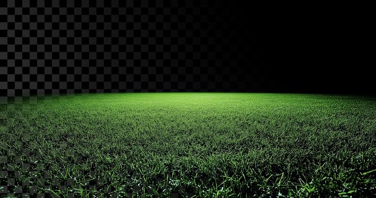 PSD un grand champ d'herbe verte vide sur un fond transparent