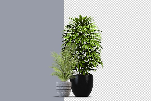 Green Cacto Saúde Plant PNG , Realista, Mão, Realista Imagem PNG e PSD Para  Download Gratuito