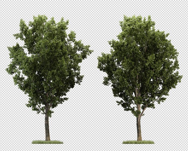 PSD grande variedade de renderização de árvores e arbustos