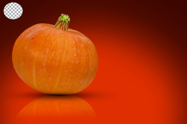 Grande zucca arancione con riflessione su sfondo rosso Concetto di Halloween