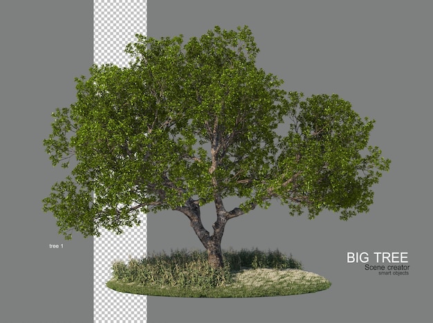 Grandi alberi di molte forme