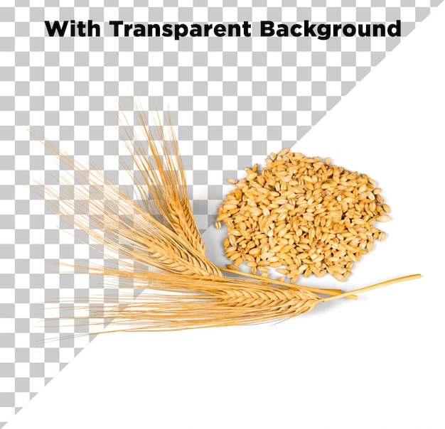 Grani e gambi di grano