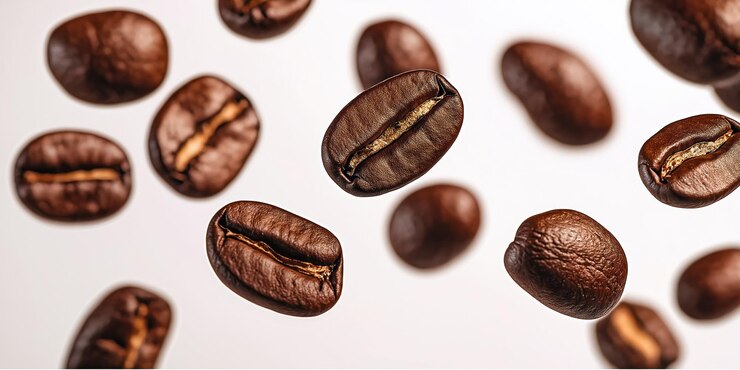 Grano de café marrón oscuro aislado sobre un fondo gris claro Grano único con superficie lisa y