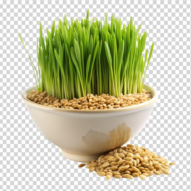 PSD grano di grano isolato su uno sfondo trasparente