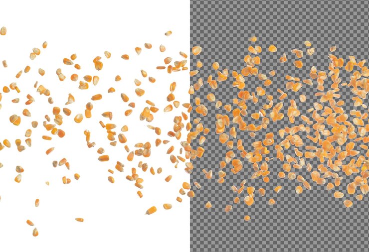 PSD el grano de maíz seco vuela en el aire amarillo la semilla de maíz cae dispersa explosión flota en forma forma grupo de línea fondo blanco aislado congela movimiento obturador de alta velocidad