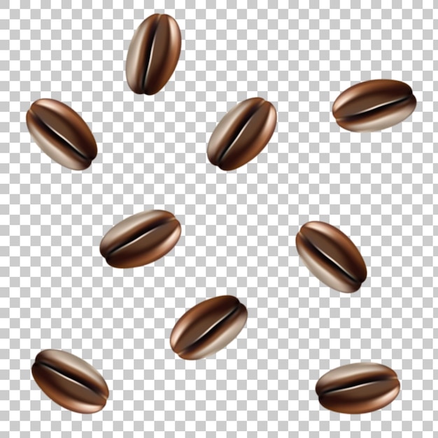granos de café aislados sobre fondo transparente