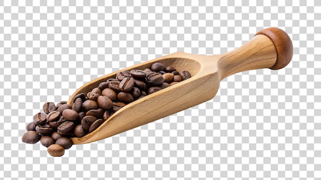Granos de café en una cuchara de madera sobre un fondo transparente
