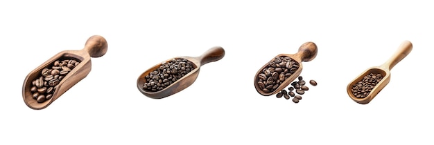Los granos de café en cucharas de madera