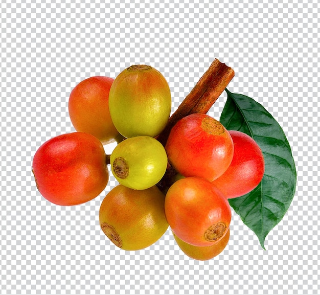 Grãos de café com folhas de frutas de café reais em fundo branco Grãos de café vermelhos e folhas em um ramo de café foto premium psd