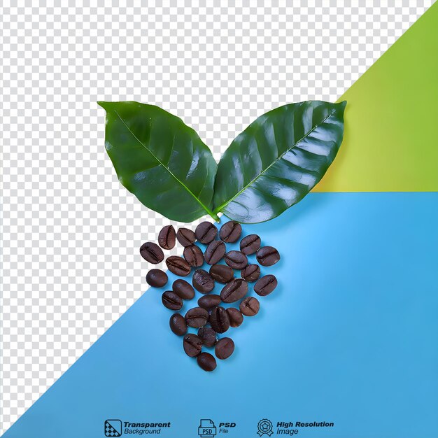 PSD grãos de café com folhas isoladas sobre um fundo transparente.