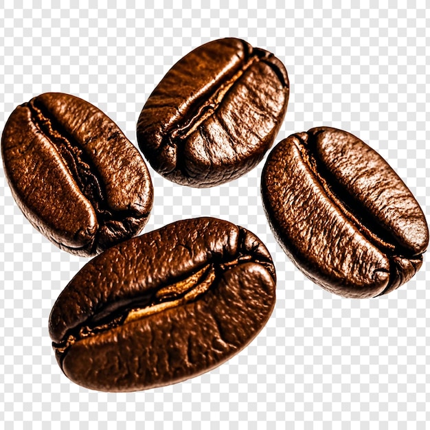 Grãos de café em fundo transparente