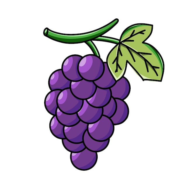 Une grappe de raisin avec une feuille verte dessus.