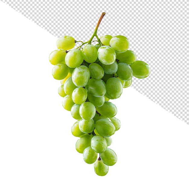 Grappolo di uva verde
