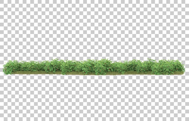 Gras auf transparentem Hintergrund. 3D-Rendering - Abbildung
