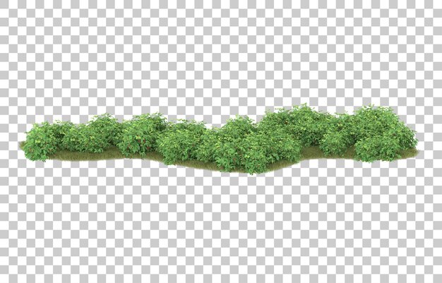 Gras auf transparentem Hintergrund. 3D-Rendering - Abbildung