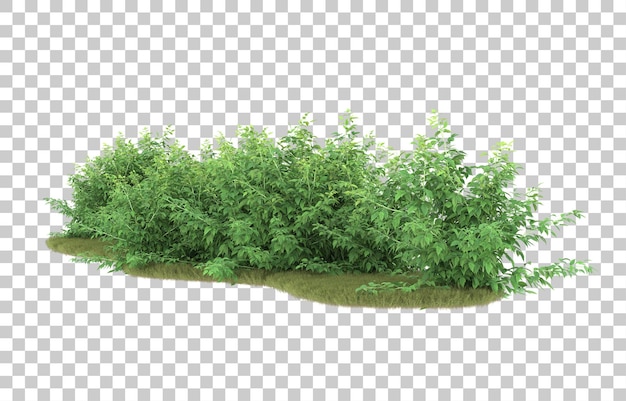 Gras auf transparentem Hintergrund. 3D-Rendering - Abbildung