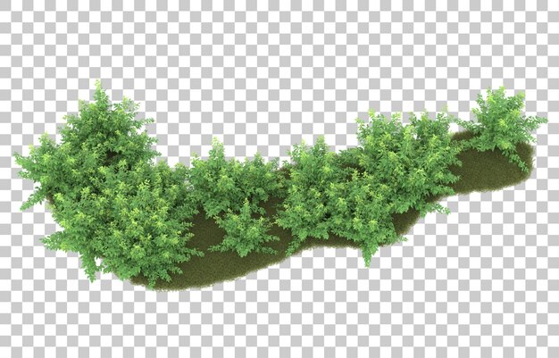 Gras auf transparentem Hintergrund. 3D-Rendering - Abbildung
