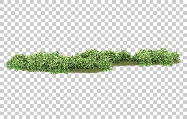 Gras auf transparentem Hintergrund. 3D-Rendering - Abbildung