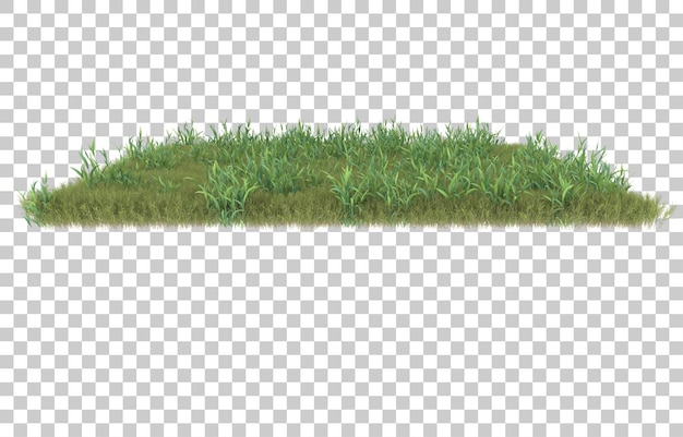 Gras auf transparentem Hintergrund. 3D-Rendering - Abbildung