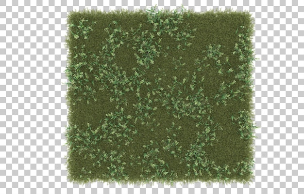 PSD gras auf transparentem hintergrund. 3d-rendering - abbildung