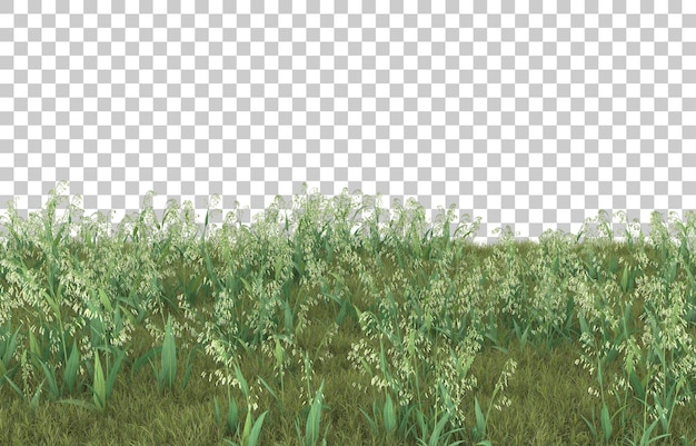 Gras auf transparentem Hintergrund. 3D-Rendering - Abbildung