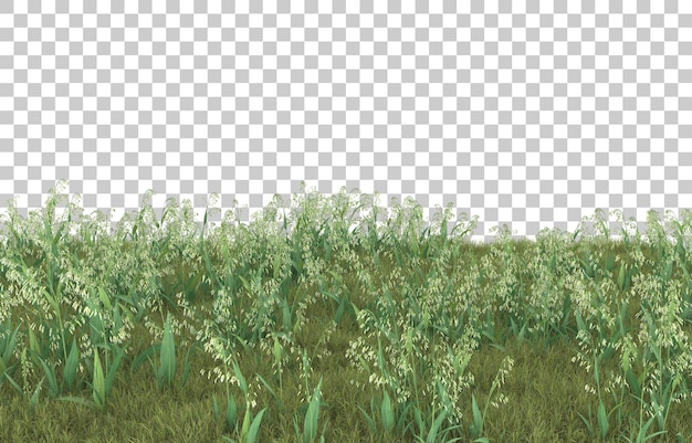 Gras auf transparentem hintergrund. 3d-rendering - abbildung